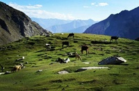 Keris Broq-Gilgit-Baltistan - Pakistan
